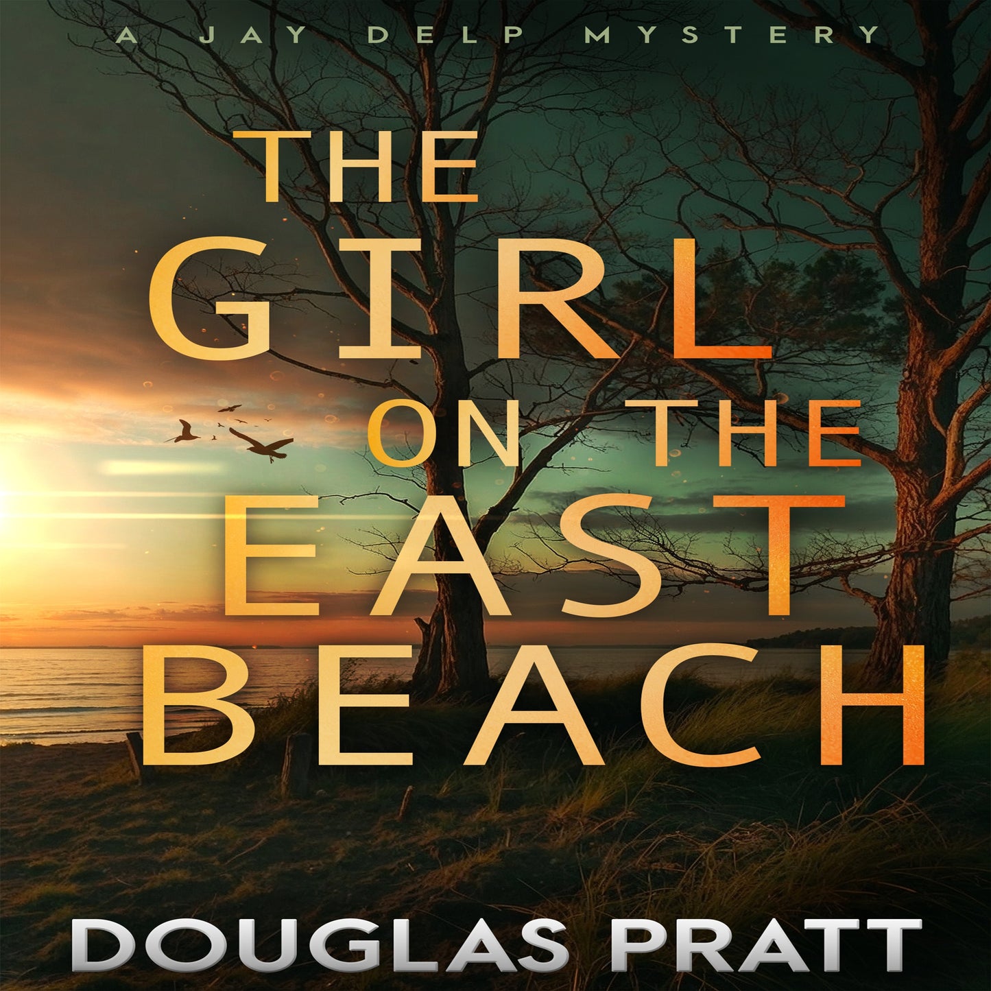 The Girl on the East Beach: A Jay Delp Mystery Book 2 (Audiobook)